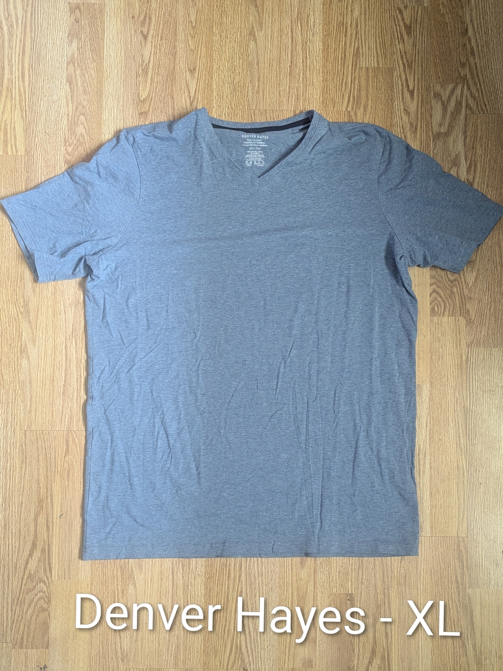 Denver Hayes Men's V-Neck T-Shirt in Heather Gray-Blue